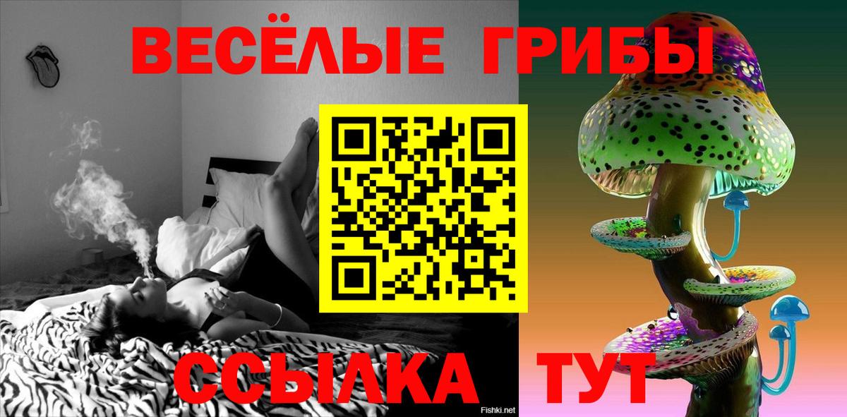 что такое   Вход с VPN  Дивногорск  Галлюциногенные грибы ЛСД 