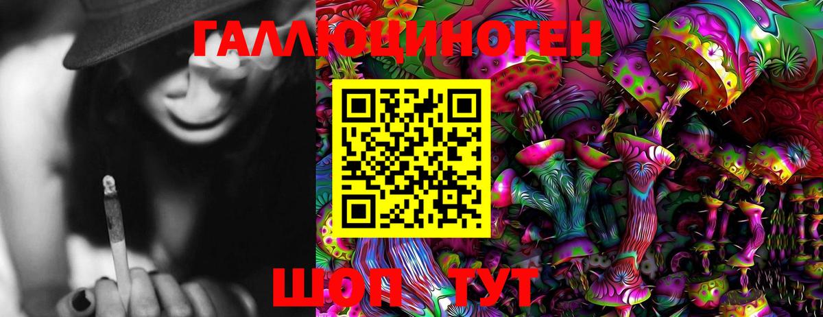 Псилоцибиновые грибы Psilocybine cubensis Дивногорск